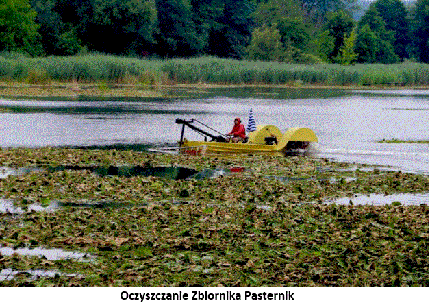 12.20_ Zalew Pasternik.GIF