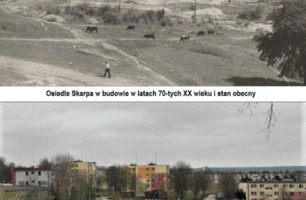 141.GIF