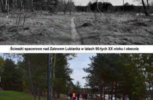 293.GIF