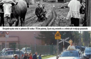 306.GIF